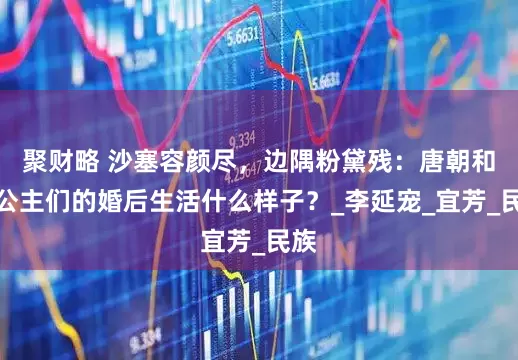 聚财略 沙塞容颜尽，边隅粉黛残：唐朝和亲公主们的婚后生活什么样子？_李延宠_宜芳_民族