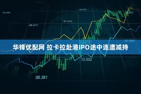 华锋优配网 拉卡拉赴港IPO途中连遭减持