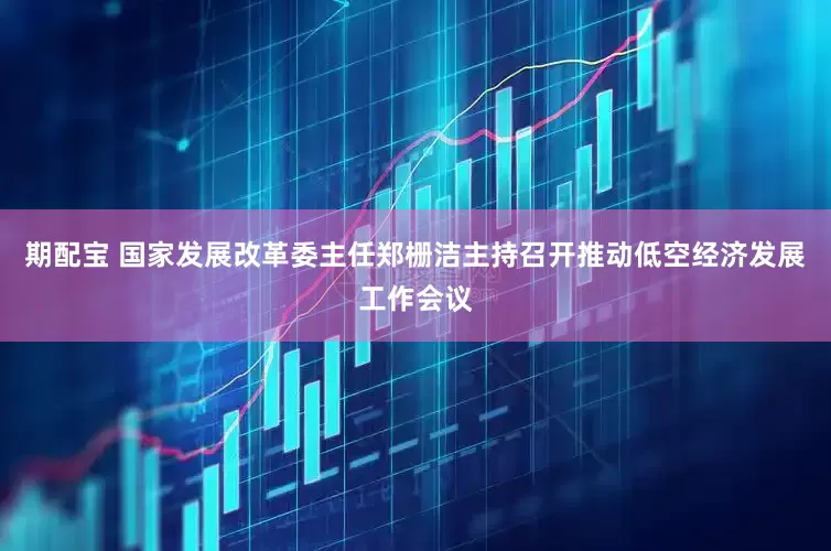 期配宝 国家发展改革委主任郑栅洁主持召开推动低空经济发展工作会议