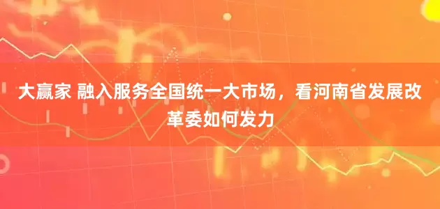 大赢家 融入服务全国统一大市场，看河南省发展改革委如何发力